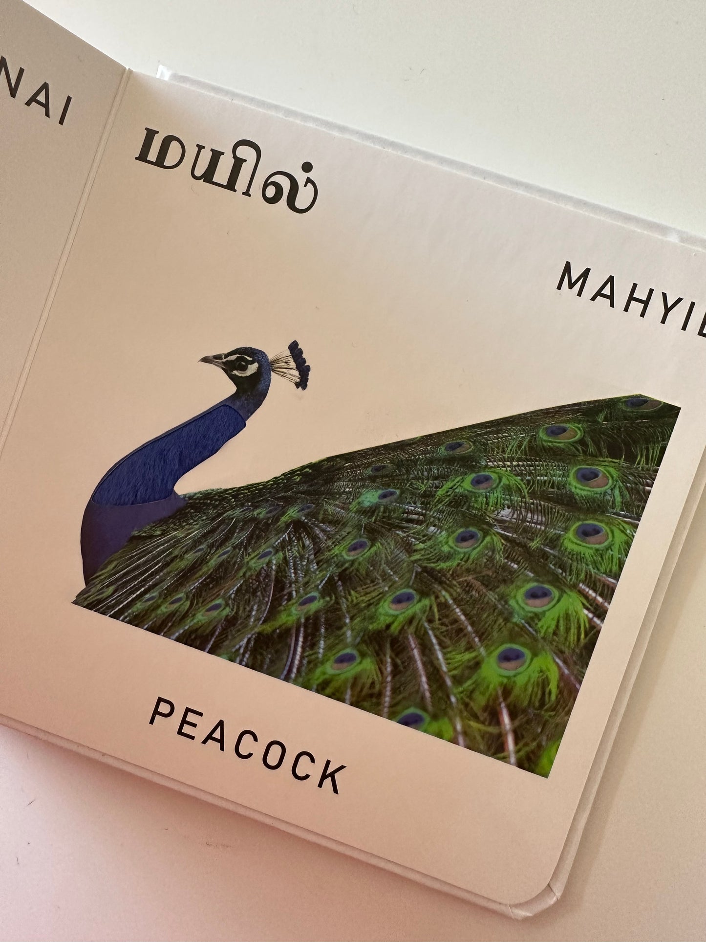 My First Animals (Touch and Feel board book w/English transliteration)